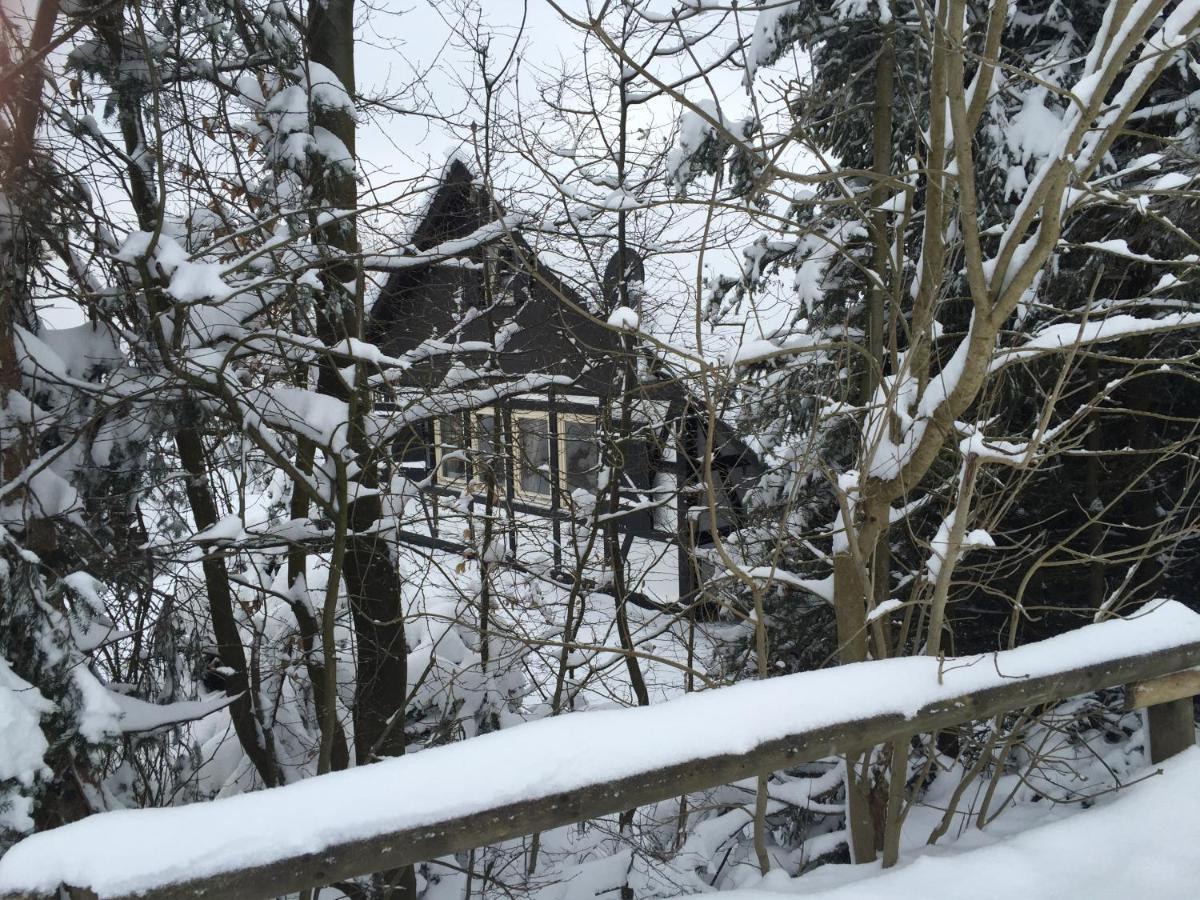 Ferienhaus Sauerlandtraum Winterberg Eksteriør bilde