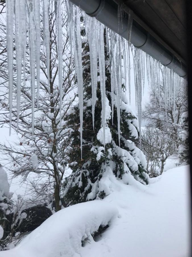 Ferienhaus Sauerlandtraum Winterberg Eksteriør bilde