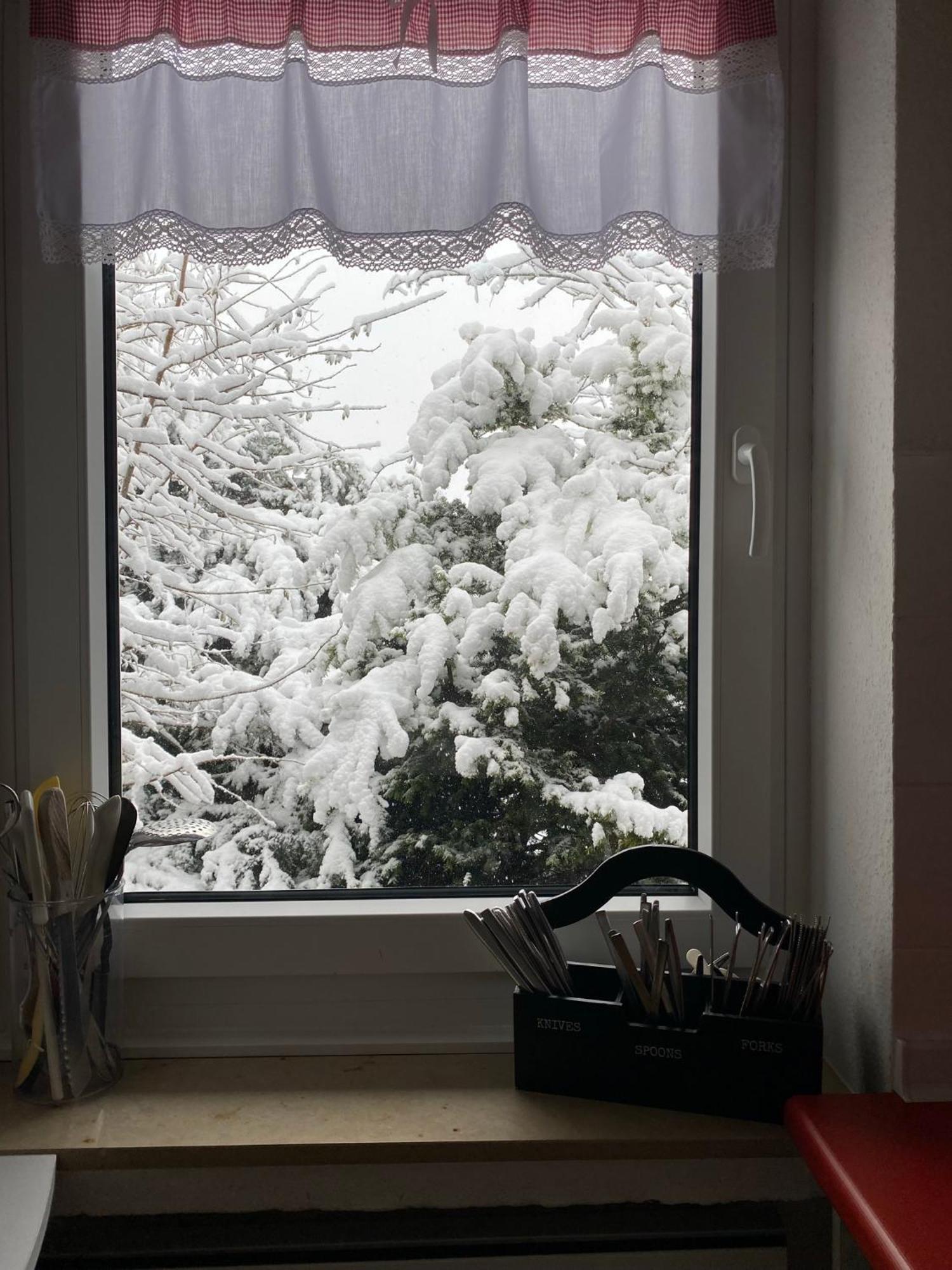 Ferienhaus Sauerlandtraum Winterberg Eksteriør bilde